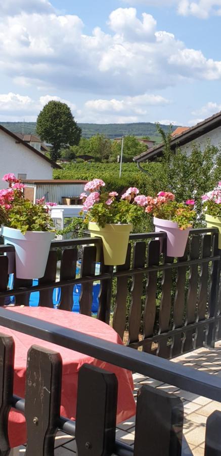 Ferienwohnung Weingut Leis 웨스트리크윈켈 외부 사진